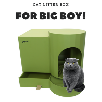 Stylish Big Cat Litter Box